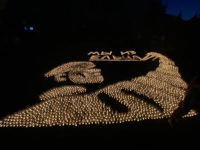 Ельчане зажгли картину из 4 тысяч свеч