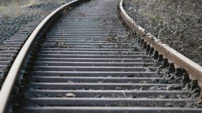 В Ярославской области рядом с железной дорогой нашли тело школьницы