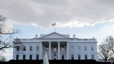 Белый дом: бой за избирательную реформу еще не окончен