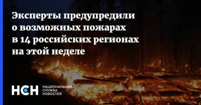 Эксперты предупредили о возможных пожарах в 14 российских регионах на этой неделе