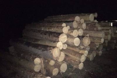 Жители Бурятии нарубили деревьев на уголовную статью