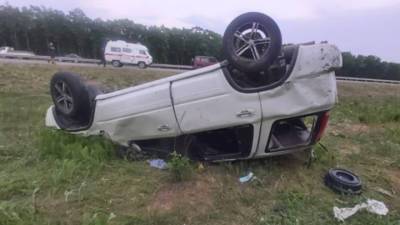 Клещ стал причиной аварии с пострадавшими в Приморье