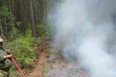 В Бурятии потушили лесной пожар, возникший из-за грозы