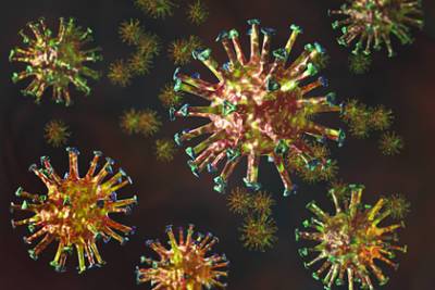 ВОЗ предупредила о возникновении новых штаммов коронавируса