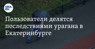 Пользователи делятся последствиями урагана в Екатеринбурге. Фото, видео
