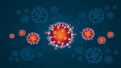 Выявлена главная особенность индийской мутации коронавируса