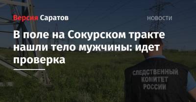 В поле на Сокурском тракте нашли тело мужчины: идет проверка