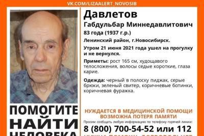 Блуждал по городу больше суток: в Новосибирске найден пропавший без вести 83-летний пенсионер