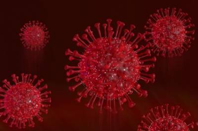 Александр Гинцбург - Джордж Мейсон Анч - Биолог рассказала о главной опасности индийского штамма коронавируса - aif.ru