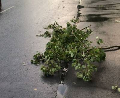 Затопленные дороги и поваленные деревья. В Челябинске ликвидируют последствия ливня
