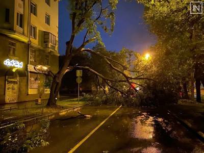 В Екатеринбурге из-за шторма упали десятки деревьев