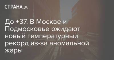До +37. В Москве и Подмосковье ожидают новый температурный рекорд из-за аномальной жары