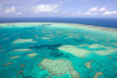ООН собирается включить Большой Барьерный риф в список объектов всемирного наследия, находящихся «в опасности»