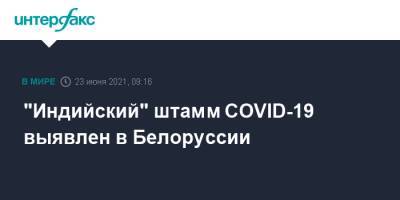 "Индийский" штамм COVID-19 выявлен в Белоруссии