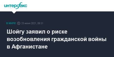 Шойгу заявил о риске возобновления гражданской войны в Афганистане