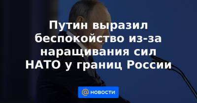 Путин выразил беспокойство из-за наращивания сил НАТО у границ России