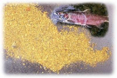Действия камчатских золотодобытчиков ставят под угрозу реализацию нацпроекта «Экология»