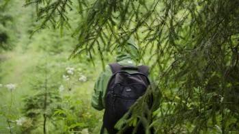 Открыт сезон "потеряшек": молодую женщину ищут в лесу под Тарногой