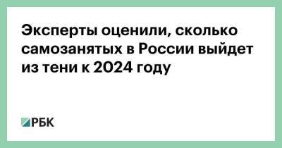 Эксперты оценили, сколько самозанятых в России выйдет из тени к 2024 году