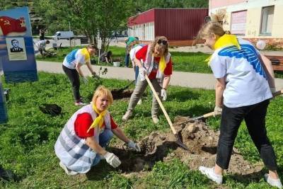 В Кольском Заполярье высадили более 12 тысяч деревьев в рамках акции «Сад памяти»