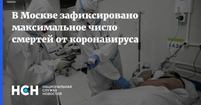 В Москве зафиксировано максимальное число смертей от коронавируса