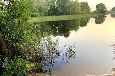 В Токарёвском районе утонула женщина