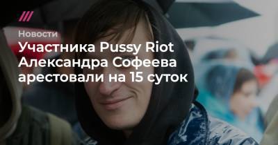 Участника Pussy Riot Александра Софеева арестовали на 15 суток