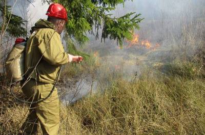 Первый лесной пожар в Смоленской области в 2021-м произошел по вине местных