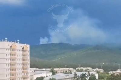 Лесной пожар разгорелся в районе посёлка Песчанка в Чите