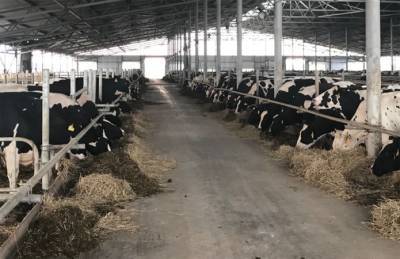 Бучачагрохлебпром строит еще одну молочную ферму с доильным залом