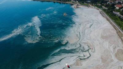 Турция удалила более 5,5 тысяч кубометров морской слизи из Мраморного моря