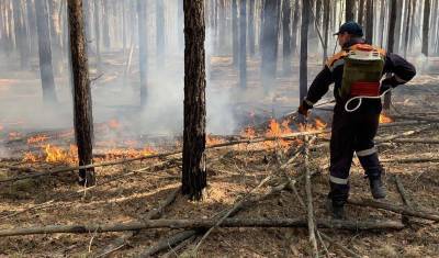 В Вагайском районе отменили режим ЧС из-за пожаров