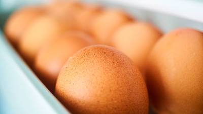 В России могут запретить пластиковую упаковку для яиц
