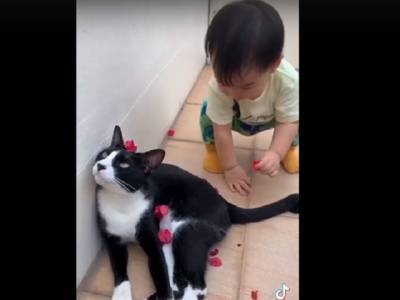 Любовь с пеленок: дружба ребенка и кота умилила Сеть
