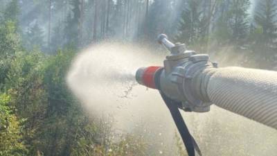 Пожарные тушили лес в Приозерском районе