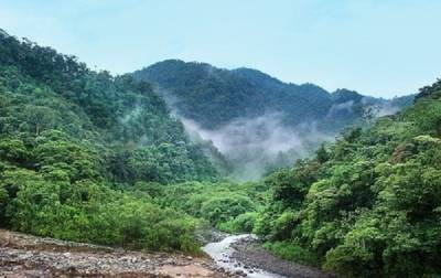 Африканская страна получила миллионы долларов за защиту тропических лесов
