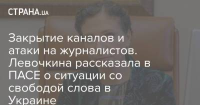 Закрытие каналов и атаки на журналистов. Левочкина рассказала в ПАСЕ о ситуации со свободой слова в Украине