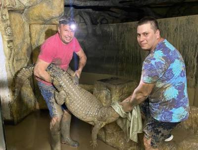 Потоп в Ялте: сбежавшие крокодилы покусали военного РФ