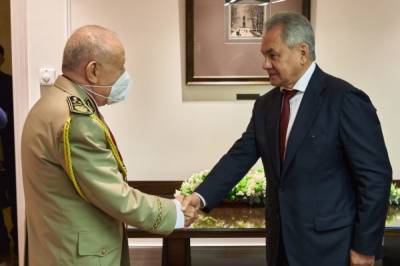 Шойгу заявил о планах РФ сотрудничать с Алжиром по вопросам безопасности