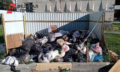 Прокуратура заинтересовалась мусорным коллапсом в ЗАТО Челябинской области