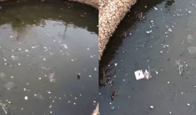 Тюменцы требуют почистить водоем в сквере Серебряные ключи
