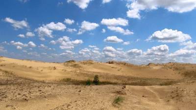 Эколог Соколенко: Херсон и Одесса могут превратиться в пустыню через 40 лет из-за погодных катаклизмов