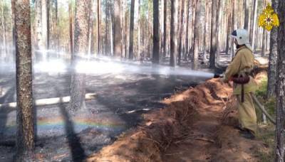 Семьдесят человек тушат пожар в лесу Бологовского района Тверской области