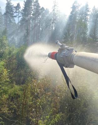 В Сосново 12 часов тушили лесной пожар — фото, видео