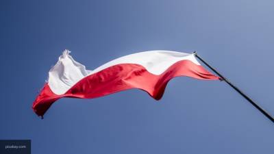 Увеличение российского экспорта в ЕС расстроило поляков