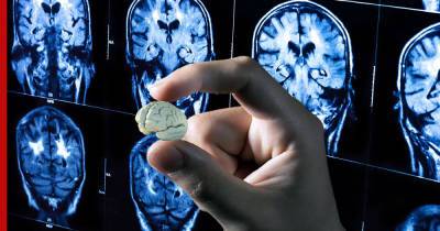Человеческий мини-мозг: лечение главного органа может выйти на новый уровень
