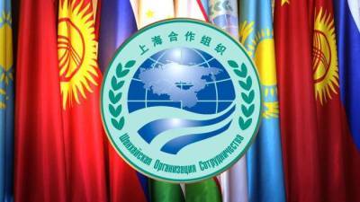 Казахстан обладает потенциалом для наращивания экспорта в страны-участницы ШОС