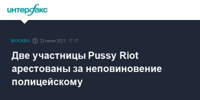 Две участницы Pussy Riot арестованы за неповиновение полицейскому