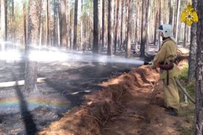 Сотрудники десяти частей тушат пожар в лесу Тверской области