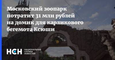Московский зоопарк потратит 31 млн рублей на домик для карликового бегемота Ксюши